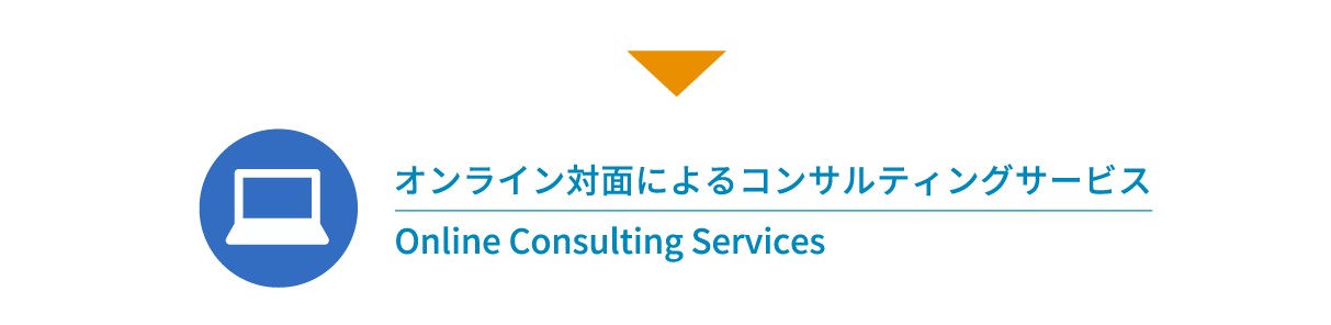 ICΖʂɂRTeBOT[rX Online Consulting Services