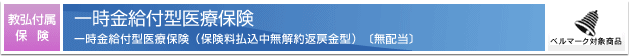 一時金給付型医療保険一時金給付型医療保険(保険料払込中無解約返戻金型)〔無配当〕