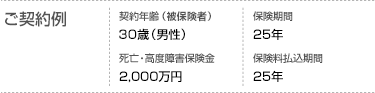 ご契約例
