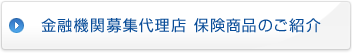 ���Z�@�֕�W�㗝�X�@�ی����i�̂��Љ�
