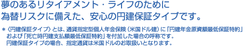 夢のあるリタイアメント・ライフのためにー 為替リスクに備えた、安心の円建保証タイプです。
*〈円建保証タイプ〉とは、通貨指定型個人年金保険(米国ドル建)に「円建年金原資額最低保証特約」および「死亡時円建支払額最低保証特約」を付加した場合の呼称です。円建保証タイプの場合、指定通貨は米国ドルのお取扱いとなります。