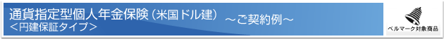 �ʉݎw��^�l�N���ی��i�č��h�����j���~���ۏ؃^�C�v�� �[���_���[