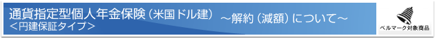 �ʉݎw��^�l�N���ی��i�č��h�����j���~���ۏ؃^�C�v���[���i���z�j�ɂ��ā[