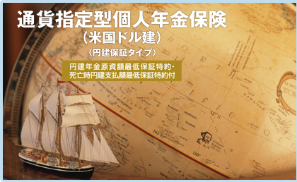 通貨指定型個人年金保険(米国ドル建)<円建保証タイプ>
