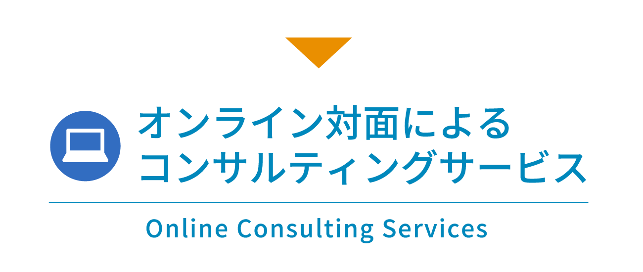 オンライン対面によるコンサルティングサービス Online Consulting Services