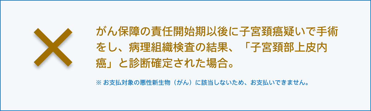 お支払いできない場合の例