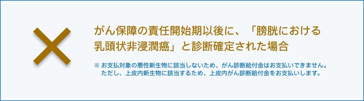 お支払いできない場合の例