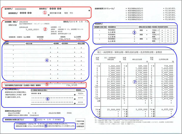 保険証券の例（逓増定期保険）イメージ